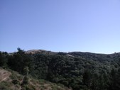 Enlarge photo 161