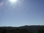 Enlarge photo 162
