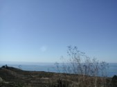 Enlarge photo 169