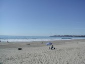 Enlarge photo 172