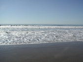 Enlarge photo 175