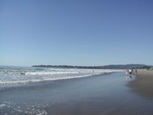 Enlarge photo 177