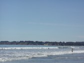 Enlarge photo 178