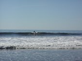 Enlarge photo 180