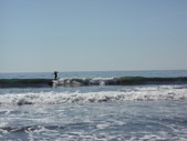 Enlarge photo 181