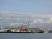 Enlarge photo 187