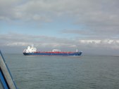 Enlarge photo 195