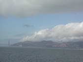 Enlarge photo 217