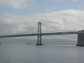 Enlarge photo 229