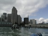 Enlarge photo 231