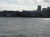 Enlarge photo 239