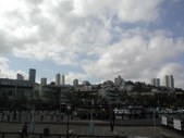 Enlarge photo 242