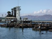Enlarge photo 245