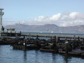 Enlarge photo 249