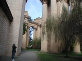 Enlarge photo 260