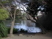 Enlarge photo 268