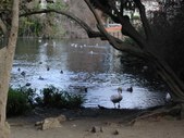 Enlarge photo 269
