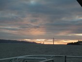 Enlarge photo 297