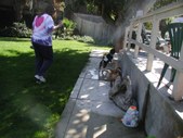 Enlarge photo 10