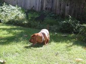 Enlarge photo 11