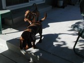 Enlarge photo 14