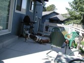 Enlarge photo 15