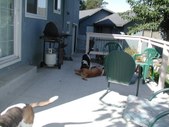 Enlarge photo 16