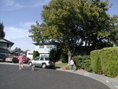 Enlarge photo 38