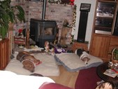 Enlarge photo 42