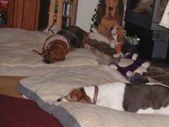 Enlarge photo 47
