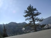 Enlarge photo 48