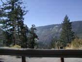 Enlarge photo 49