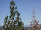 Enlarge photo 55