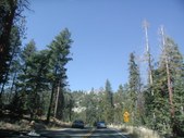 Enlarge photo 81