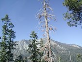 Enlarge photo 83