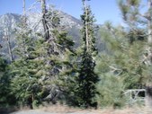 Enlarge photo 84