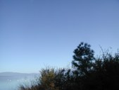 Enlarge photo 91