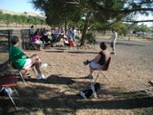 Enlarge photo 102