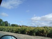 Enlarge photo 104