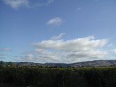 Enlarge photo 106