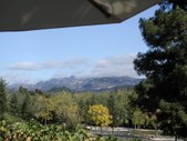 Enlarge photo 111