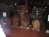 Enlarge photo 118