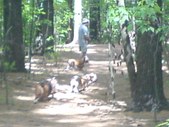 Enlarge photo 18