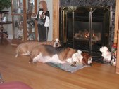 Enlarge photo 3