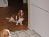 Enlarge photo 21