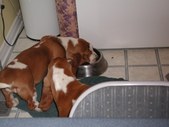 Enlarge photo 26