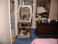 Enlarge photo 7