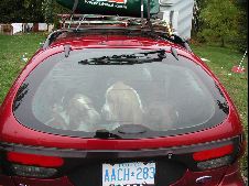 Enlarge photo 3