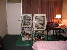 Enlarge photo 9