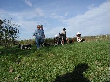 Enlarge photo 14